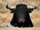 Next Generation DeFi Platform M^ZERO Emerges from Stealth with $22.5M Funding Round